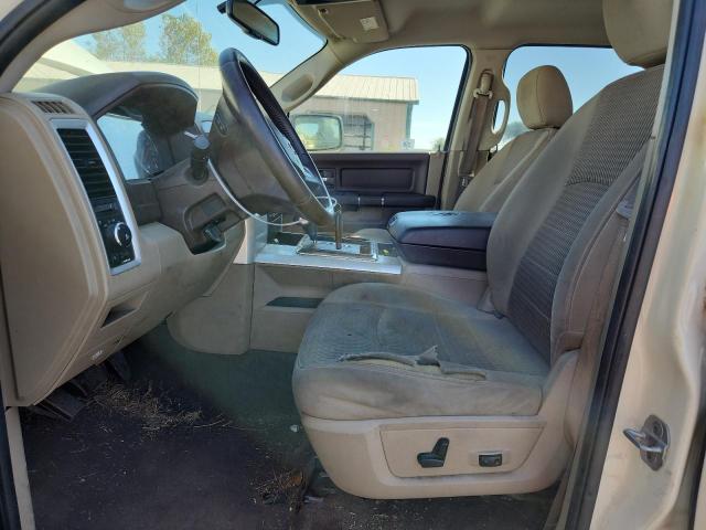 1D7RV1CT3AS227263 - 2010 DODGE RAM 1500 奶油色 照片 7