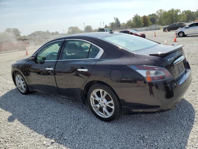 1N4AA5AP0CC868079 - 2012 NISSAN MAXIMA S PURPLE photo 2