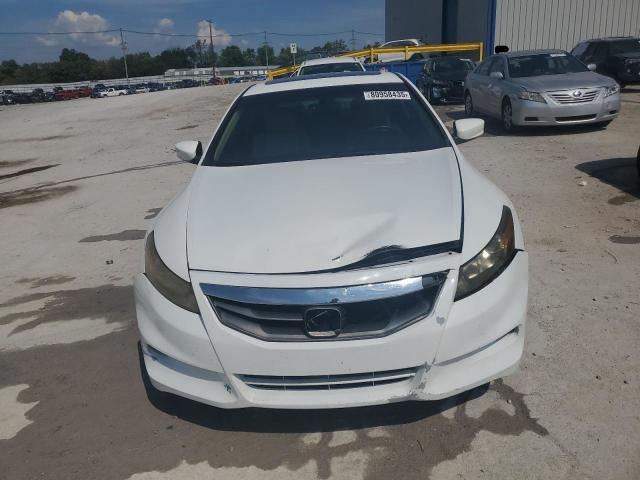 1HGCS2B84CA010830 - 2012 HONDA ACCORD EXL თეთრი ფოტო 5