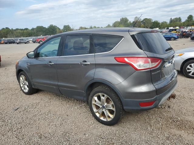 1FMCU9H91DUD47615 - 2013 FORD ESCAPE SEL GRAY photo 2