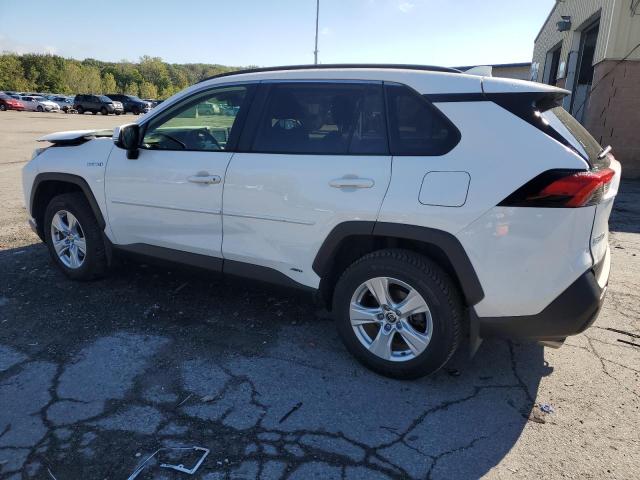 JTMR6RFV2LD005999 - 2020 TOYOTA RAV4 XLE WHITE photo 2