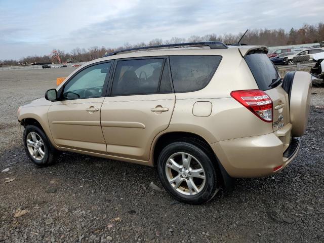 2T3BF4DVXBW091118 - 2011 TOYOTA RAV4 GOLD photo 2