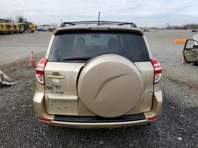 2T3BF4DVXBW091118 - 2011 TOYOTA RAV4 GOLD photo 6