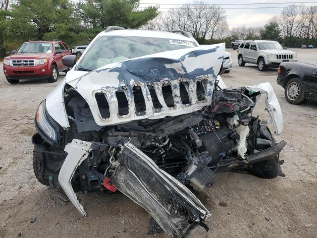 1C4PJMBS0EW161566 - 2014 JEEP CHEROKEE TRAILHAWK WHITE photo 5