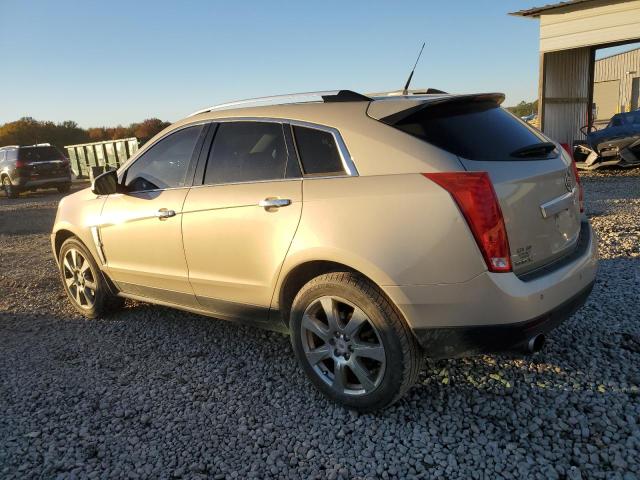 3GYFNBEY7AS645612 - 2010 CADILLAC SRX PERFORMANCE COLLECTION GOLD photo 2