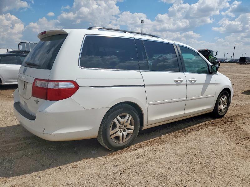 5FNRL38726B436957 - 2006 HONDA ODYSSEY EXL WHITE photo 3