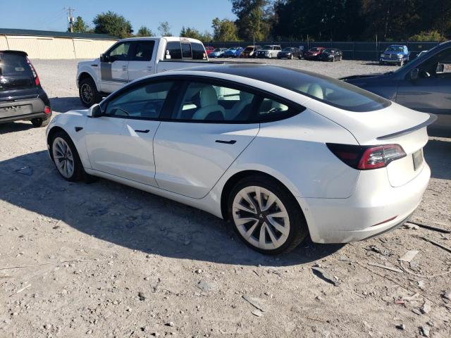 5YJ3E1EB3MF919190 - 2021 TESLA MODEL 3 白色 照片 2