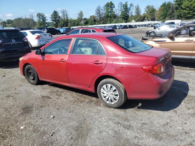 1NXBU4EE3AZ262030 - 2010 TOYOTA COROLLA BASE أحمر صورة 2