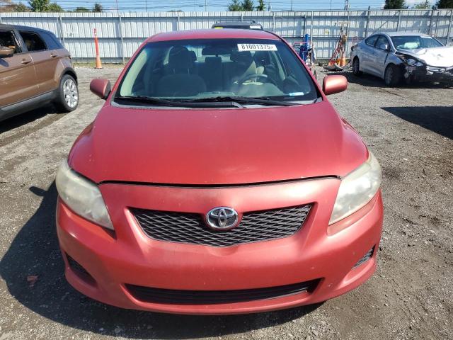 1NXBU4EE3AZ262030 - 2010 TOYOTA COROLLA BASE أحمر صورة 5
