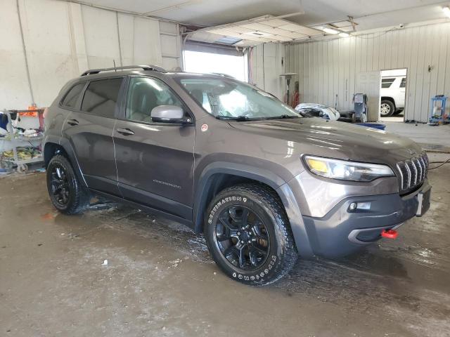 1C4PJMBX1KD282092 - 2019 JEEP CHEROKEE TRAILHAWK GRAY photo 4