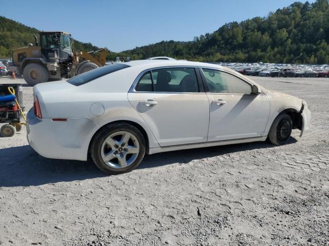 1G1ZC5EB3A4106421 - 2010 CHEVROLET MALIBU 1LT თეთრი ფოტო 3