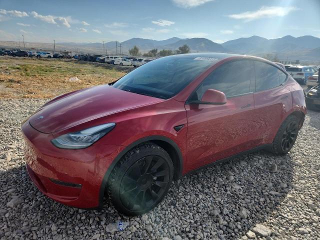 2020 TESLA MODEL Y, 