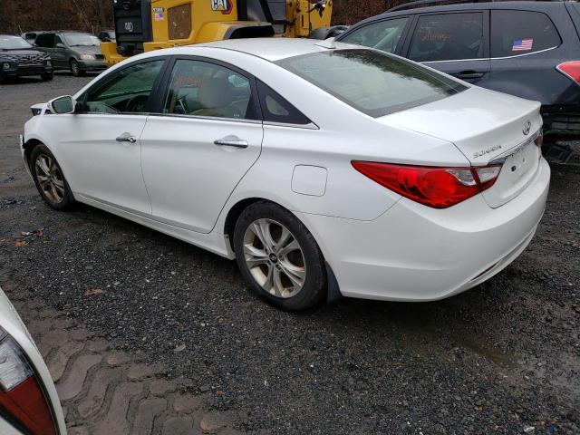 5NPEC4AC4DH556995 - 2013 HYUNDAI SONATA SE WHITE photo 2