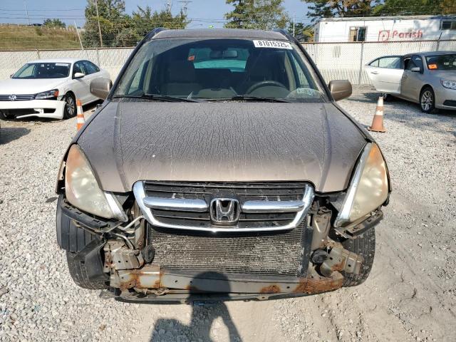 SHSRD788X4U217912 - 2004 HONDA CR-V EX BROWN photo 5