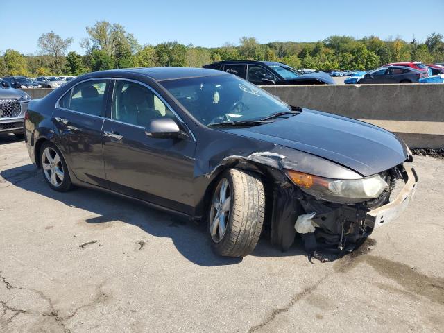 JH4CU2F69AC031190 - 2010 ACURA TSX GRAY photo 4