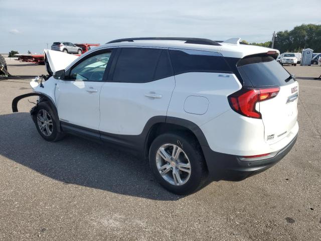 3GKALTEV6KL303523 - 2019 GMC TERRAIN SLE თეთრი ფოტო 2