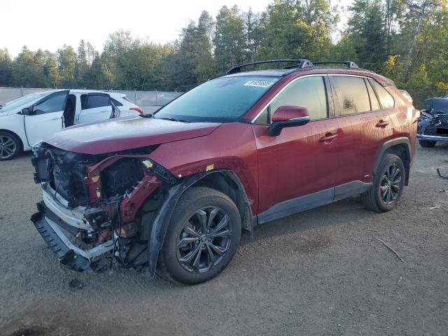 2023 TOYOTA RAV4 XLE, 