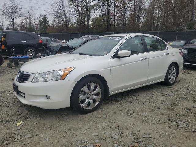 2008 HONDA ACCORD EXL, 