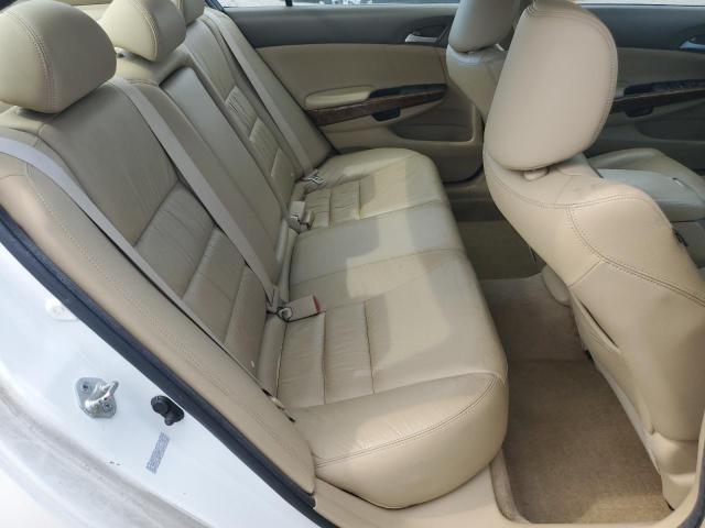 5KBCP3F80AB016372 - 2010 HONDA ACCORD EXL WHITE photo 10