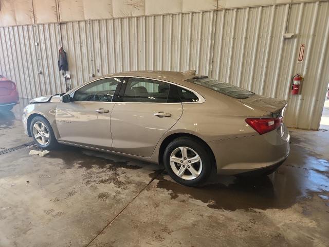 1G1ZD5ST4PF245321 - 2023 CHEVROLET MALIBU LT 棕色 照片 2