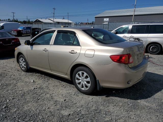 2T1BU40E69C025617 - 2009 TOYOTA COROLLA BASE Թուխ լուսանկար 2