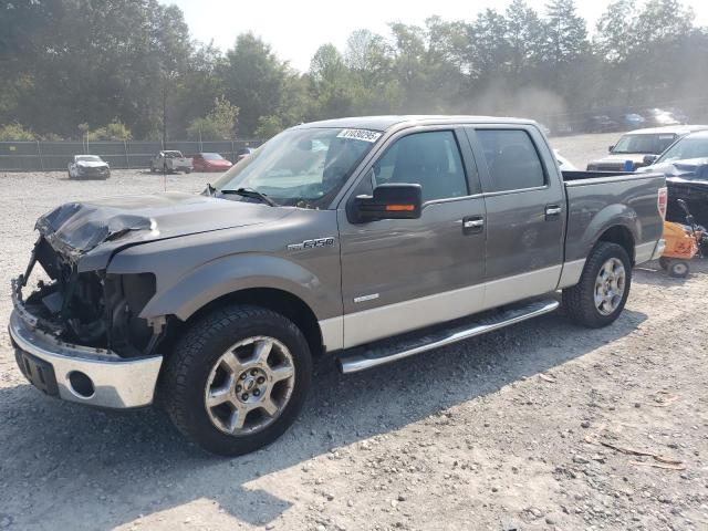 2014 FORD F150 SUPERCREW, 