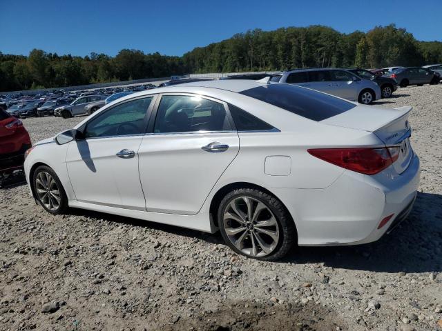 5NPEC4AC5EH893466 - 2014 HYUNDAI SONATA SE WHITE photo 2