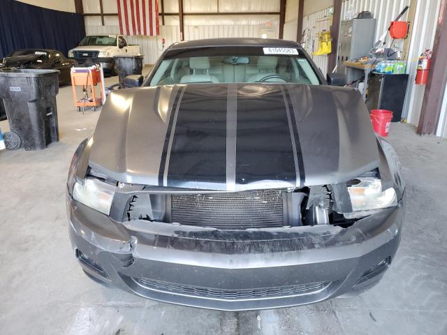 1ZVBP8AN7A5153828 - 2010 FORD MUSTANG GRAY photo 5