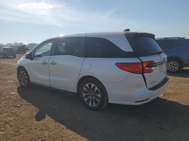 5FNRL6H75MB007195 - 2021 HONDA ODYSSEY EXL أبيض صورة 2