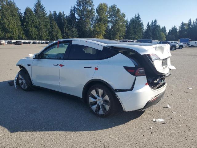 7SAYGDEE4PF673608 - 2023 TESLA MODEL Y თეთრი ფოტო 2