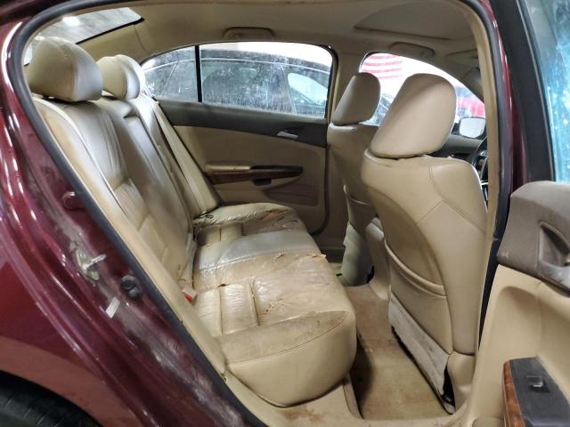 1HGCP36848A030651 - 2008 HONDA ACCORD EXL BURGUNDY photo 10