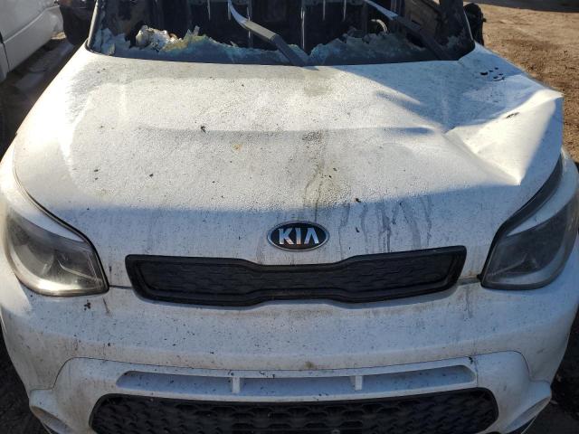 KNDJP3A58G7385207 - 2016 KIA SOUL + WHITE photo 11