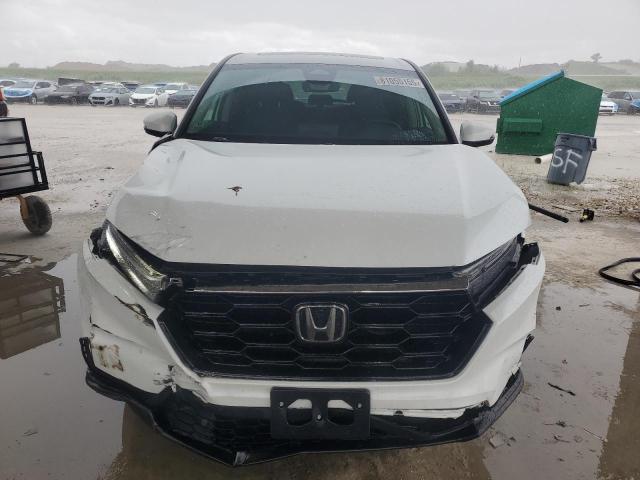 7FARS4H72PE006733 - 2023 HONDA CR-V EXL თეთრი ფოტო 5