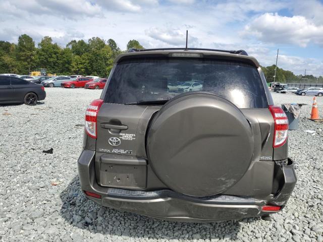 2T3BF4DVXAW055105 - 2010 TOYOTA RAV4 TAN photo 6