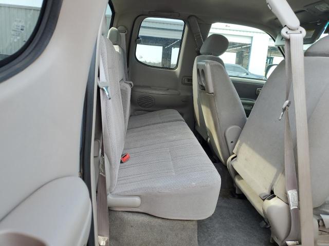 5TBRT34132S248478 - 2002 TOYOTA TUNDRA ACCESS CAB Сұр фото 10