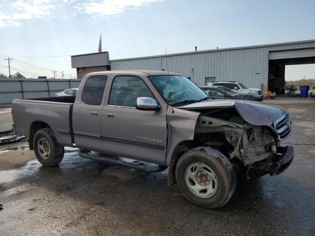 5TBRT34132S248478 - 2002 TOYOTA TUNDRA ACCESS CAB Сұр фото 4
