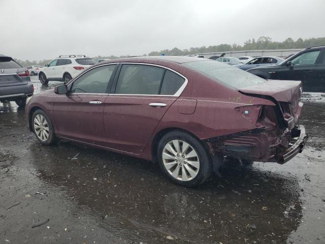 1HGCR2F78DA112954 - 2013 HONDA ACCORD EX 勃艮第红 照片 2