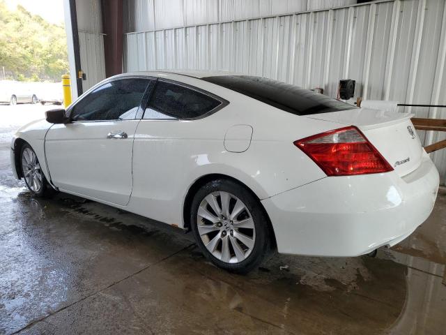 1HGCS22809A001275 - 2009 HONDA ACCORD EXL Biały zdjęcie 2