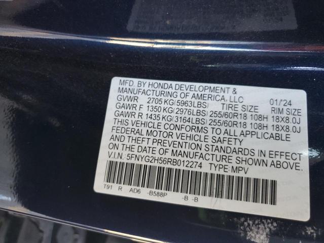 5FNYG2H56RB012274 - 2024 HONDA PILOT EXL BLUE photo 13