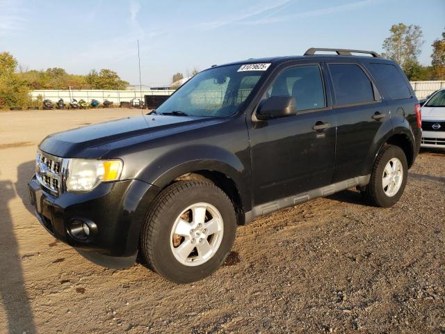 2011 FORD ESCAPE XLT, 