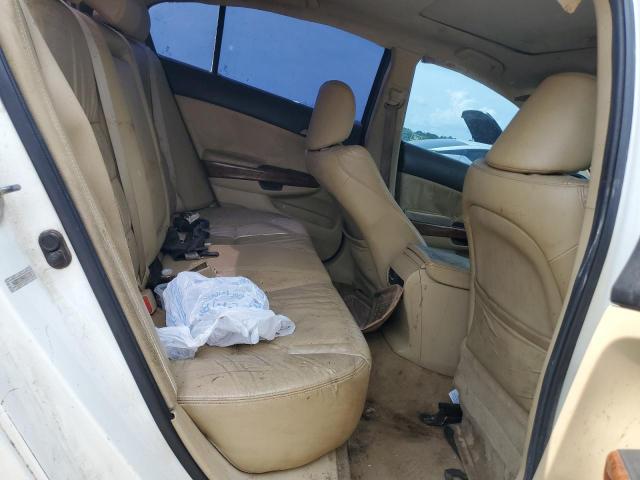 5KBCP3F84BB003187 - 2011 HONDA ACCORD EXL WHITE photo 10