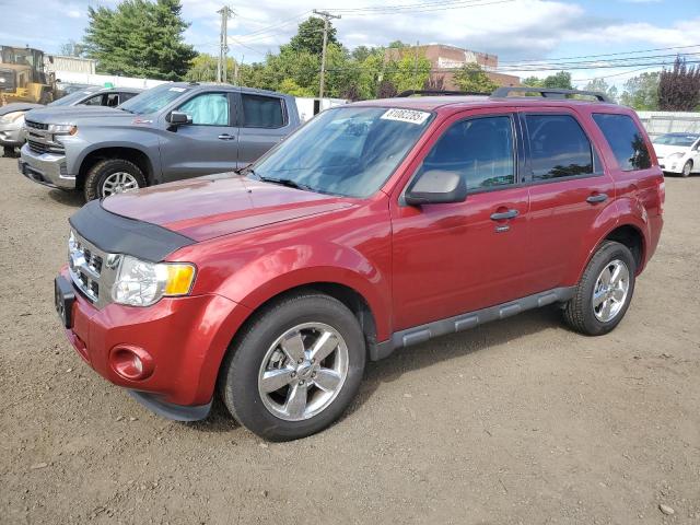 2012 FORD ESCAPE XLT, 