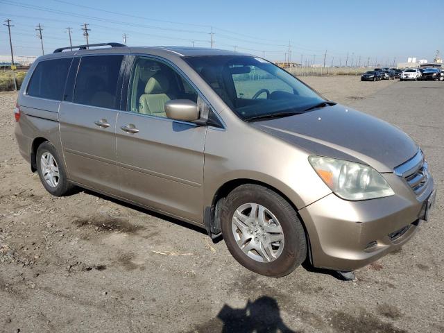 5FNRL38735B107845 - 2005 HONDA ODYSSEY EXL GOLD photo 4
