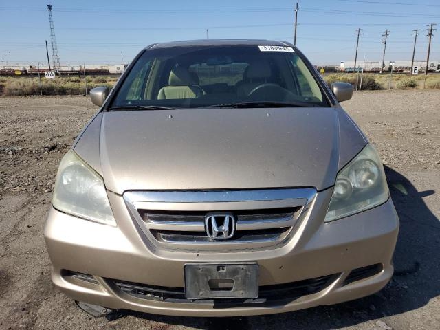 5FNRL38735B107845 - 2005 HONDA ODYSSEY EXL GOLD photo 5