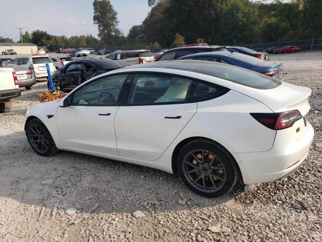 5YJ3E1EA2MF084707 - 2021 TESLA MODEL 3 WHITE photo 2
