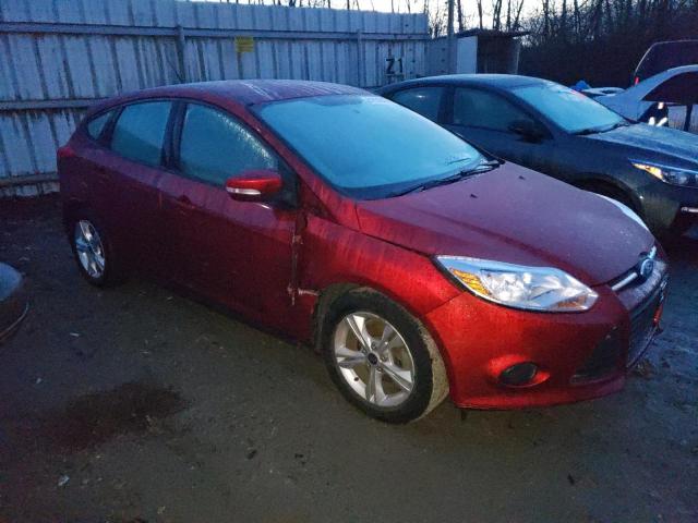 1FADP3K21DL108313 - 2013 FORD FOCUS SE RED photo 4