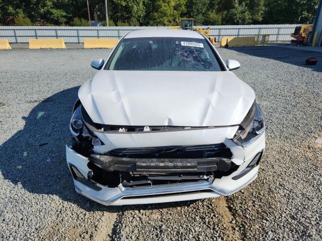 5NPE24AF7KH743545 - 2019 HYUNDAI SONATA SE 白色 照片 5