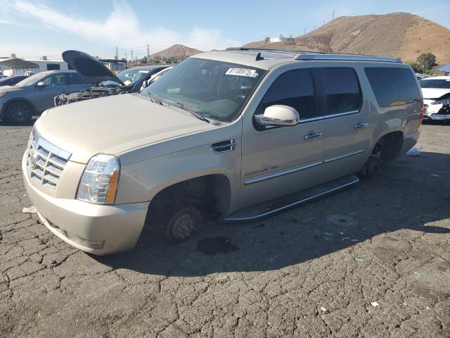 2010 CADILLAC ESCALADE ESV LUXURY, 