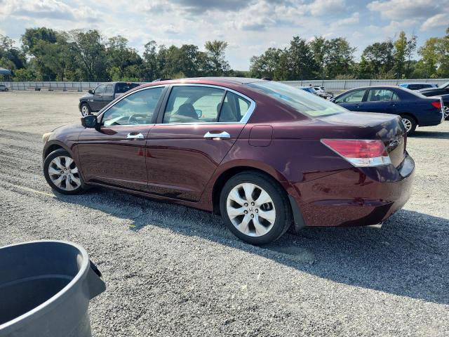 5KBCP3F84AB007898 - 2010 HONDA ACCORD EXL მუქწითელი ფოტო 2