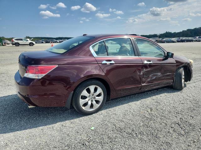 5KBCP3F84AB007898 - 2010 HONDA ACCORD EXL მუქწითელი ფოტო 3